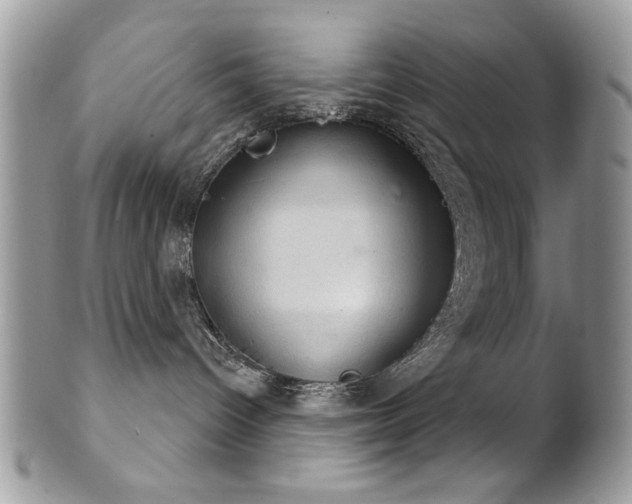 X0000102240096200807251309