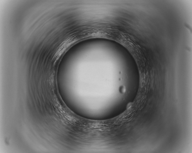 X0000102240098200807251308