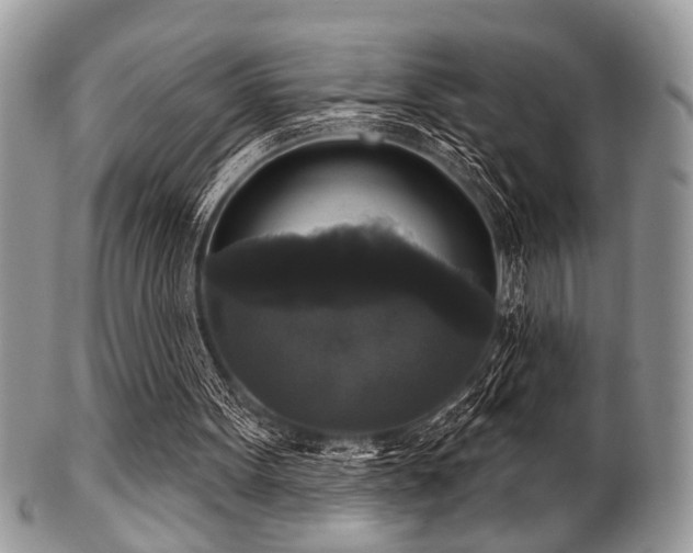 X0000102240099200807251308