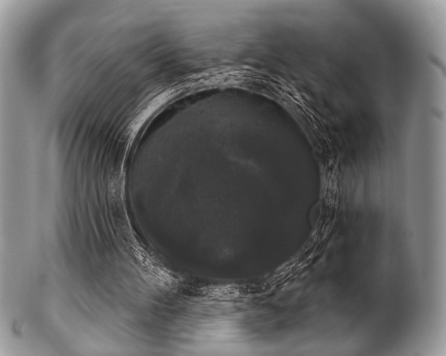 X0000102240100200807251308