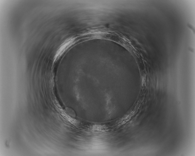 X0000102240101200807251308