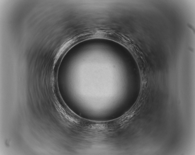 X0000102240102200807251308