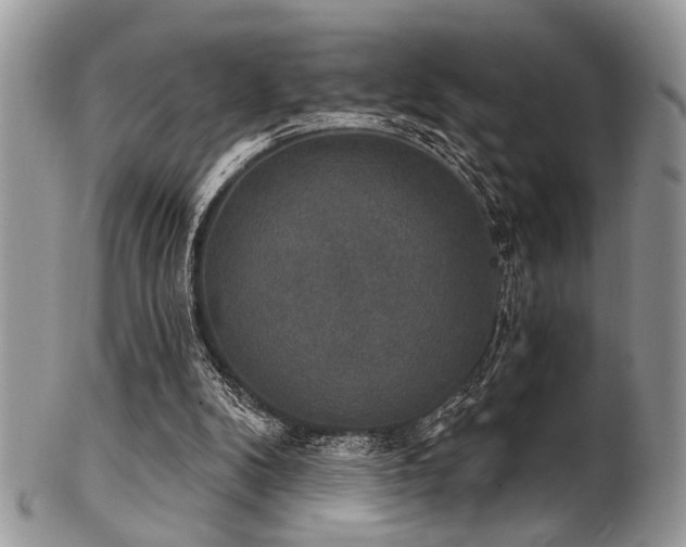 X0000102240104200807251308