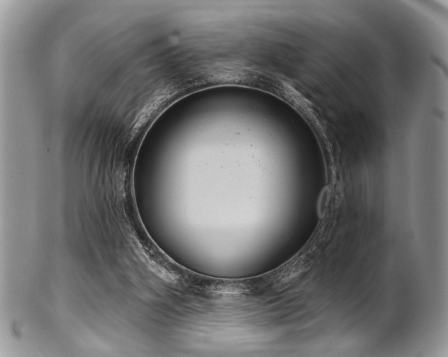 X0000102240106200807251308