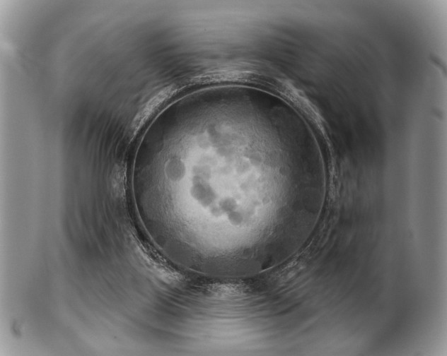 X0000102240107200807251308