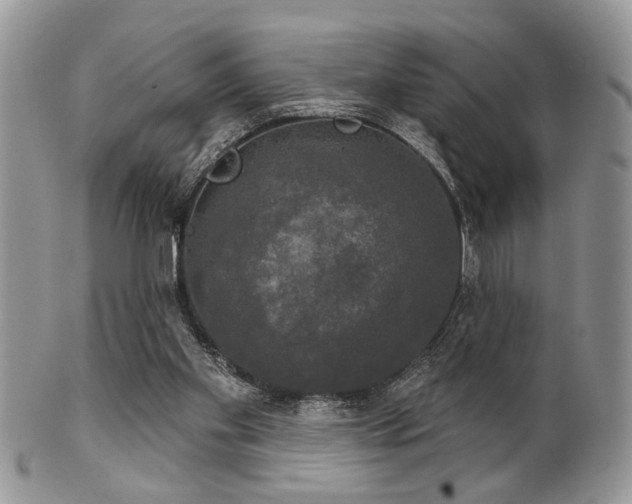 X0000102240109200807251308