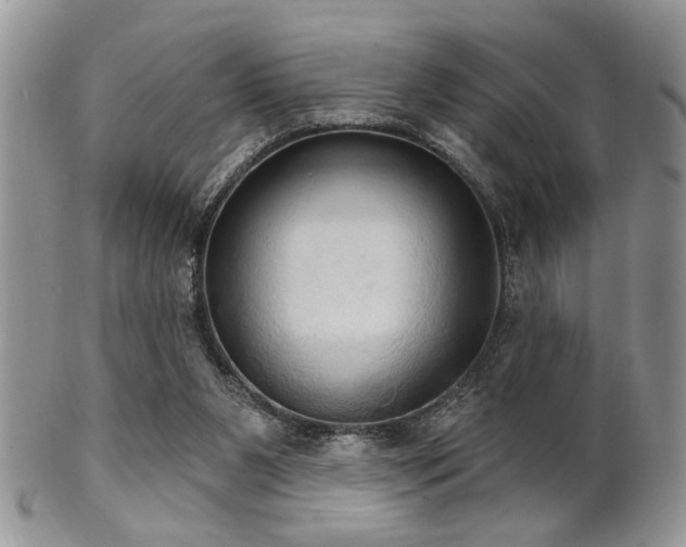 X0000102240111200807251308