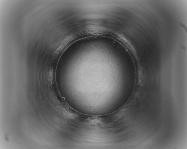 X0000102240113200807251308