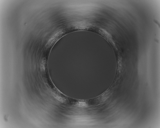 X0000102240114200807251308