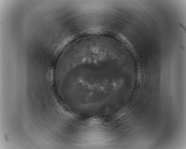 X0000102240115200807251308