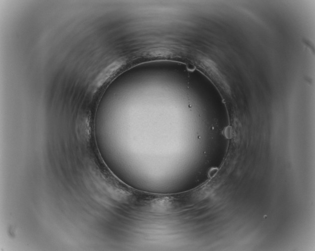 X0000102240116200807251308