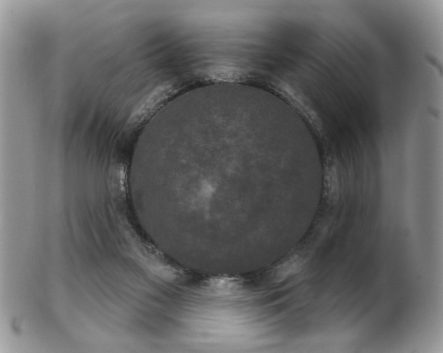 X0000102240117200807251308