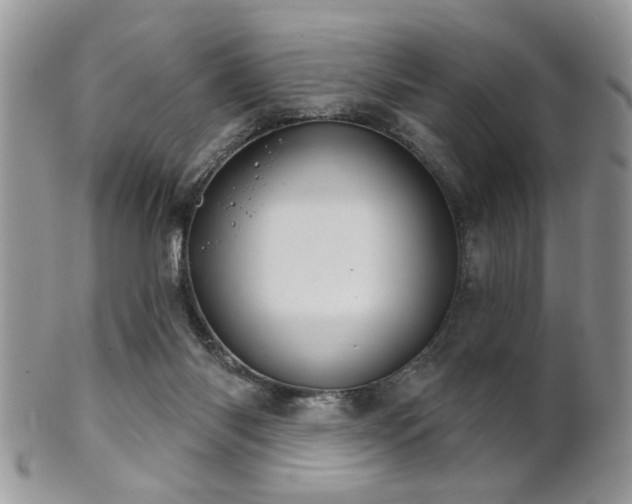 X0000102240118200807251308