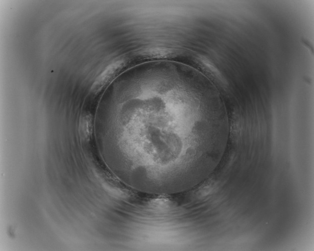 X0000102240119200807251308