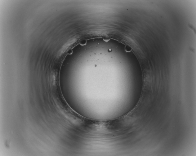 X0000102240120200807251308