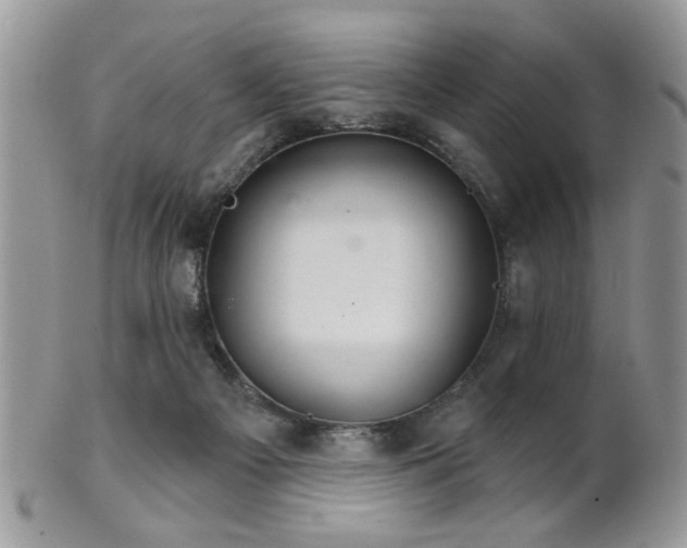 X0000102240121200807251308