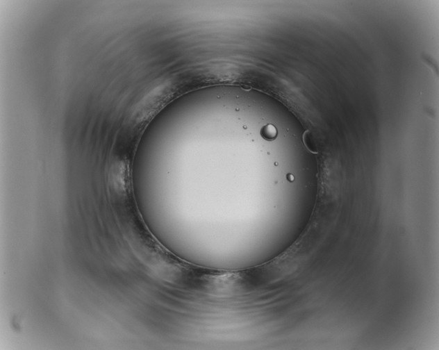 X0000102240122200807251308