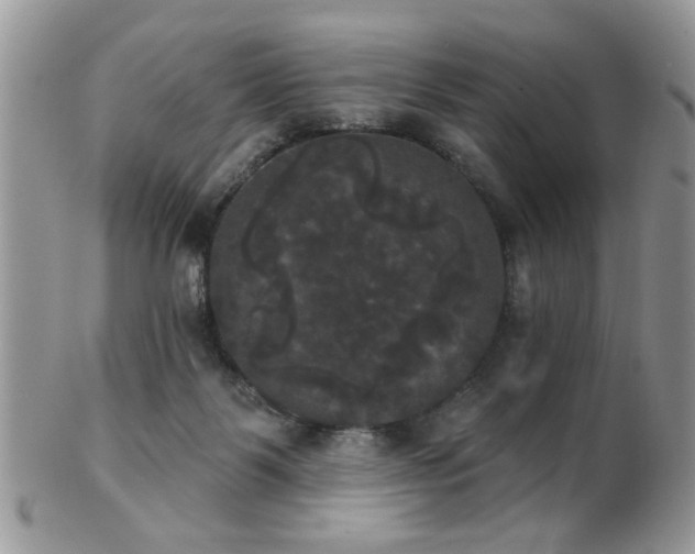 X0000102240123200807251308