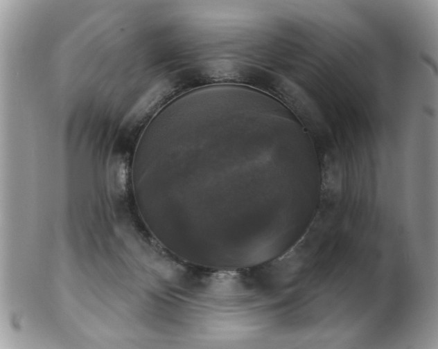 X0000102240124200807251308