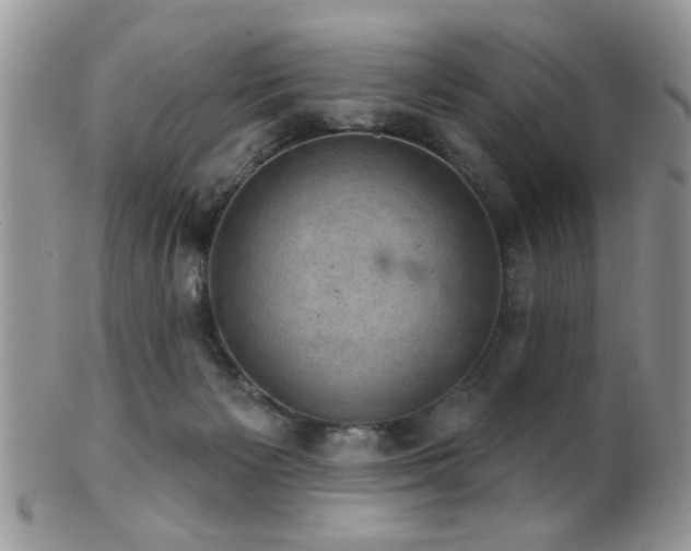 X0000102240125200807251308