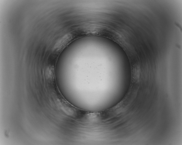 X0000102240126200807251308