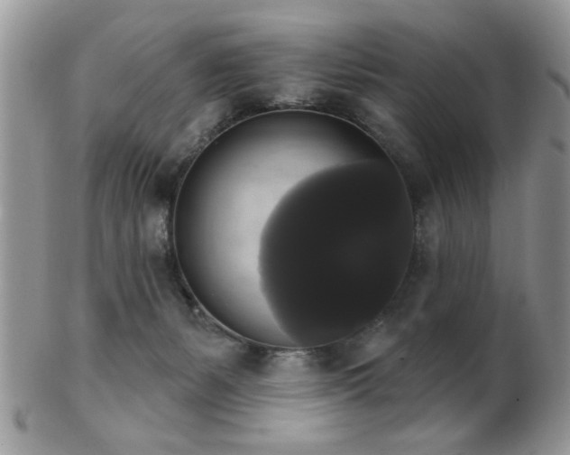 X0000102240127200807251308