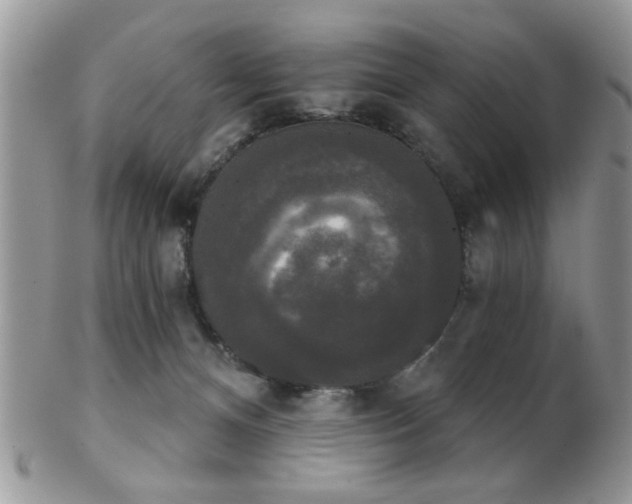 X0000102240128200807251308