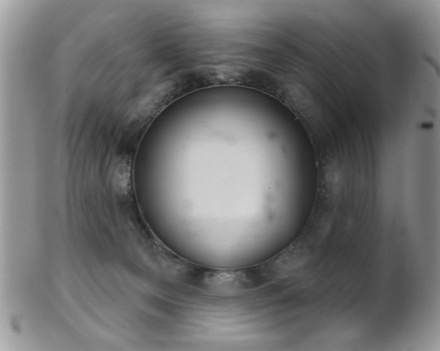 X0000102240129200807251308