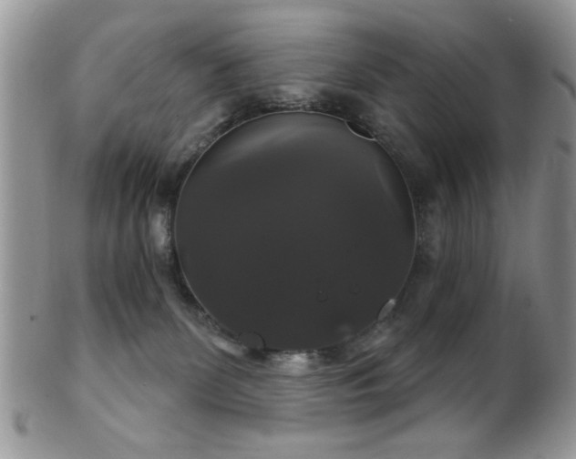 X0000102240131200807251308