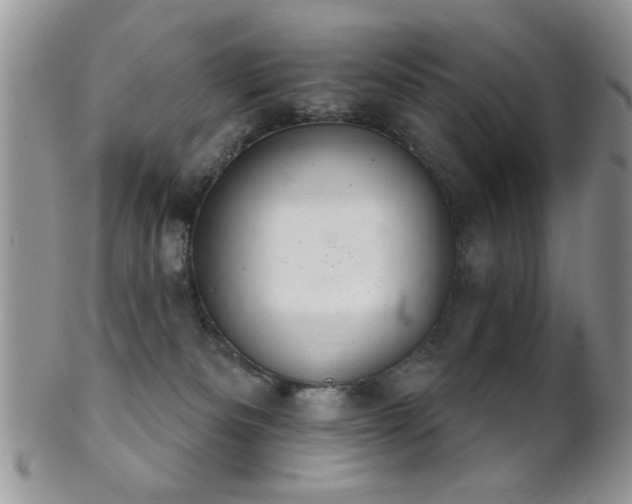 X0000102240133200807251308