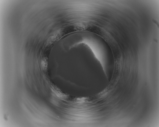 X0000102240134200807251308