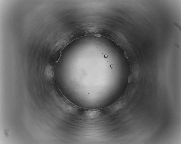 X0000102240135200807251308