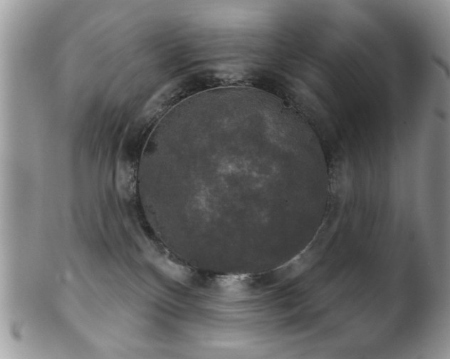 X0000102240136200807251308