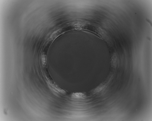 X0000102240137200807251308