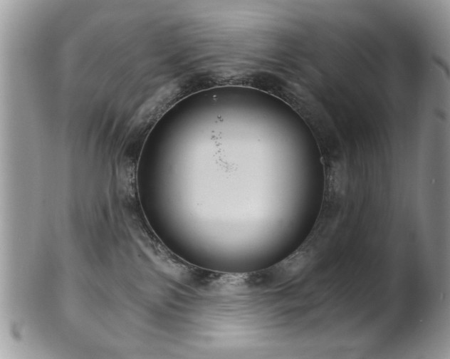 X0000102240138200807251308