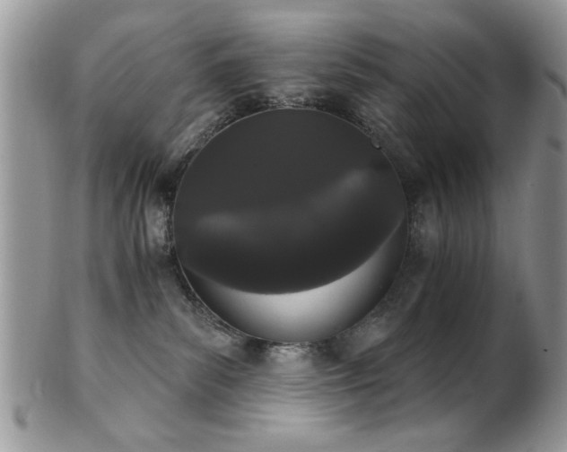 X0000102240139200807251308