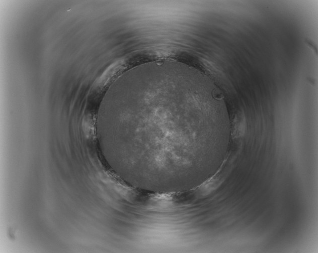 X0000102240140200807251308