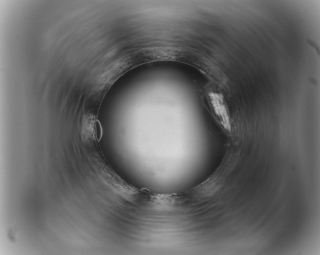 X0000102240141200807251308