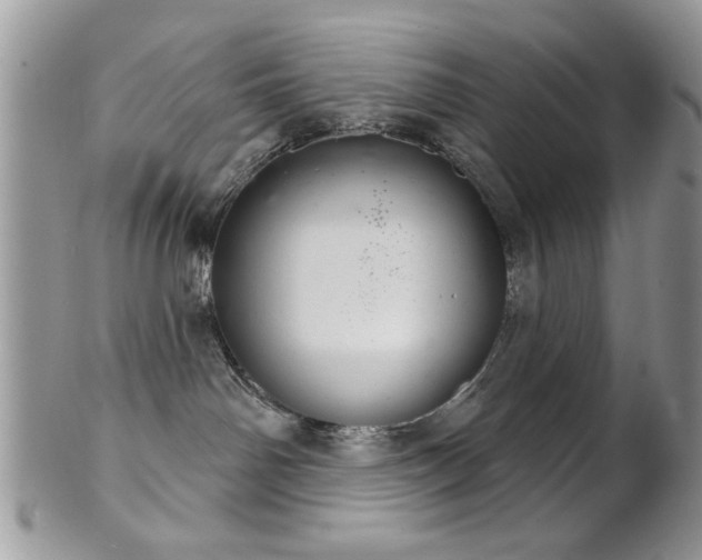 X0000102240142200807251308