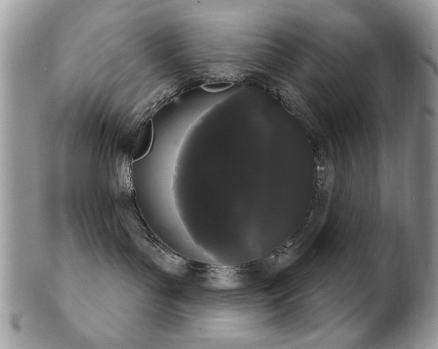 X0000102240143200807251308