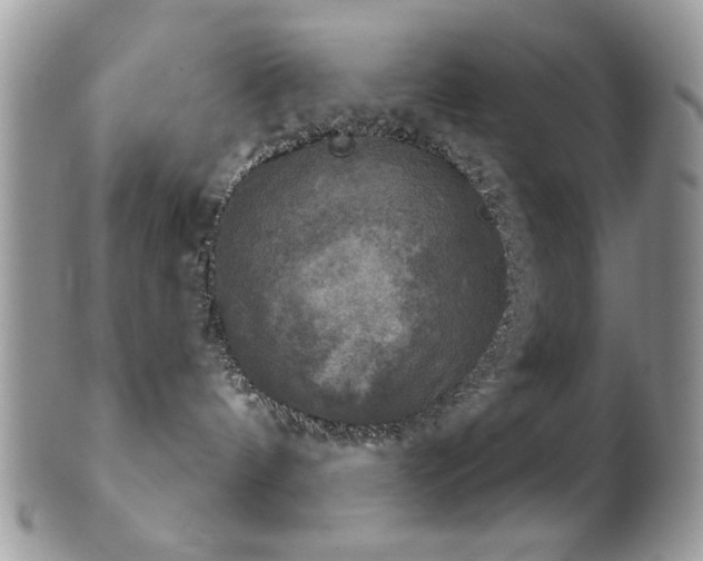 X0000102240144200807251308