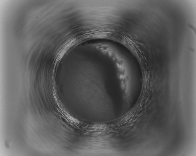 X0000102240145200807251307