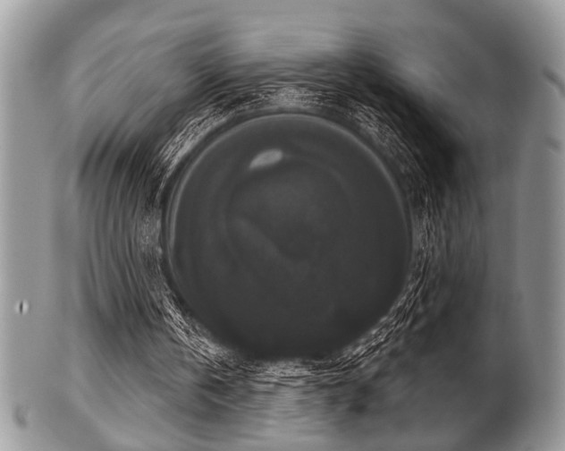 X0000102240146200807251307