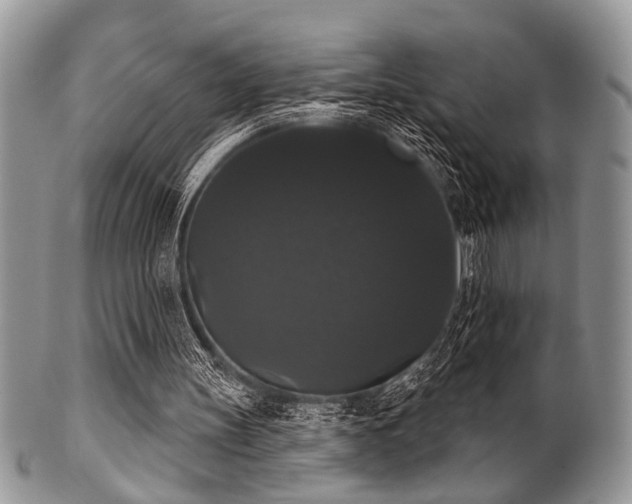 X0000102240147200807251307