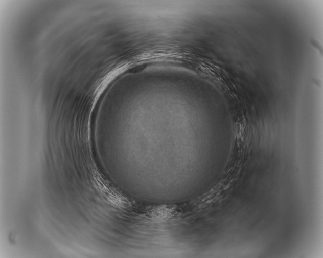 X0000102240148200807251307