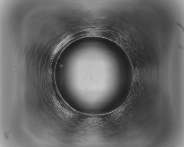 X0000102240150200807251307