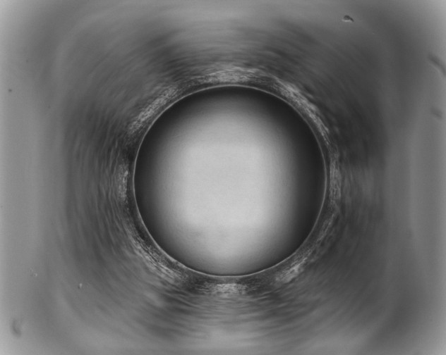 X0000102240153200807251307