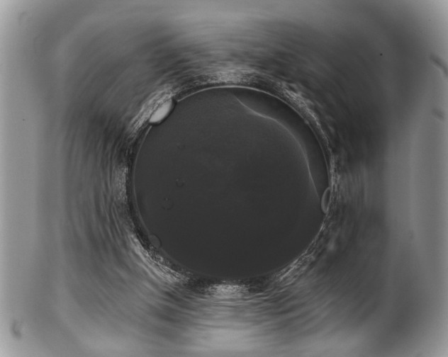 X0000102240154200807251307