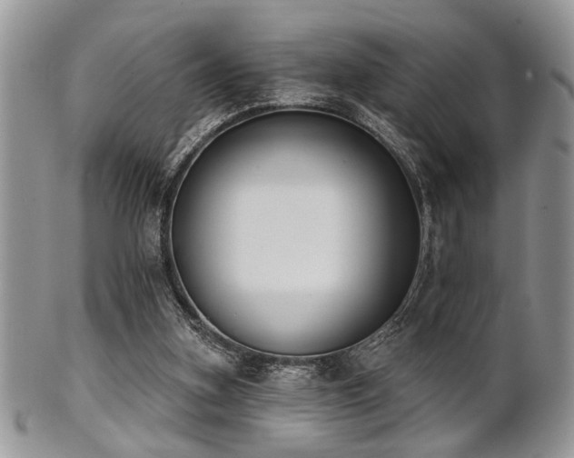 X0000102240155200807251307