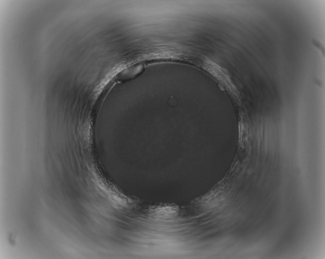 X0000102240156200807251307